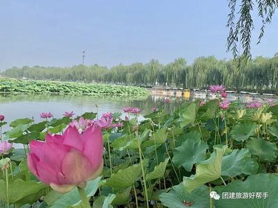 白洋淀+雄安新区2日游